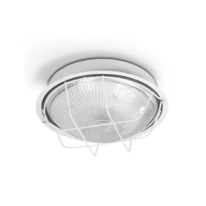 TORTUGA REDONDA, CHAPA BLANCA