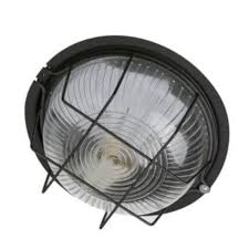 TORTUGA REDONDA, CHAPA NEGRA